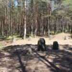 kamienne kregi w wesiorach