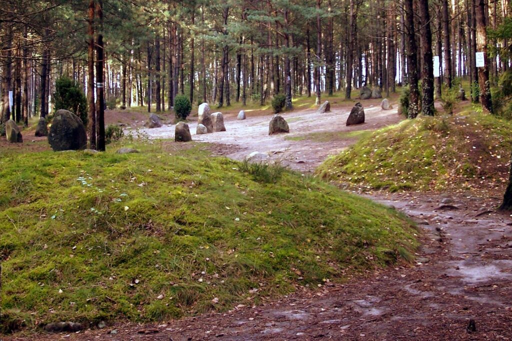 kamienne kregi w wesiorach