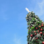 Choinka na bytowskim Rynku – miasto czeka na propozycje mieszkańców