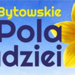 Pomaganie przez zabawę: 3. Bytowskie Pola Nadziei już w tę niedzielę na Rynku